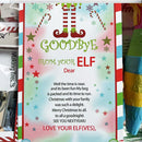 24 Days of Christmas New Fun Elf props